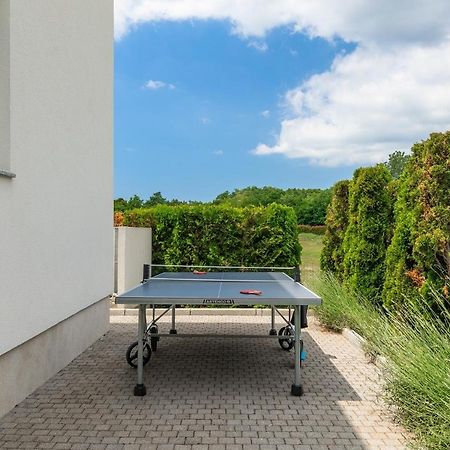 Villa Kate Istria Žminj Buitenkant foto