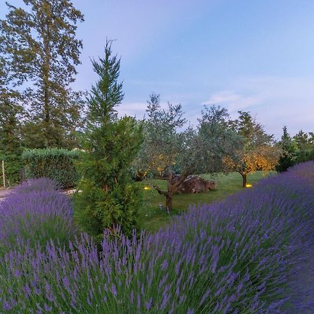 Villa Kate Istria Žminj Buitenkant foto