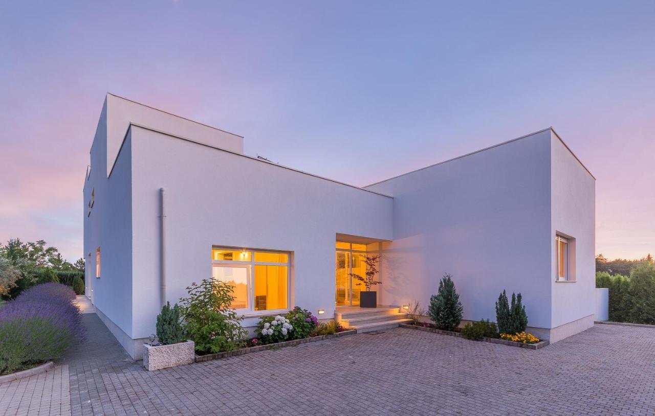 Villa Kate Istria Žminj Buitenkant foto