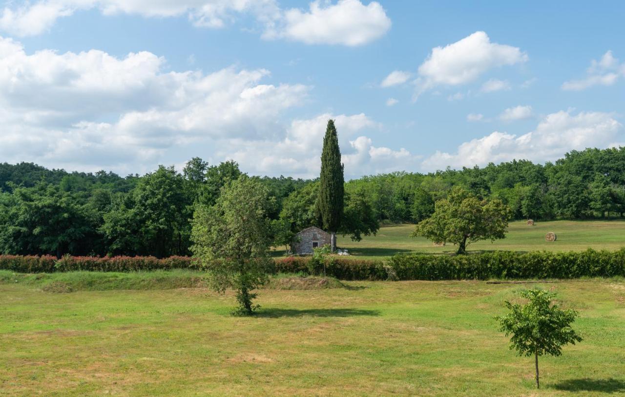 Villa Kate Istria Žminj Buitenkant foto