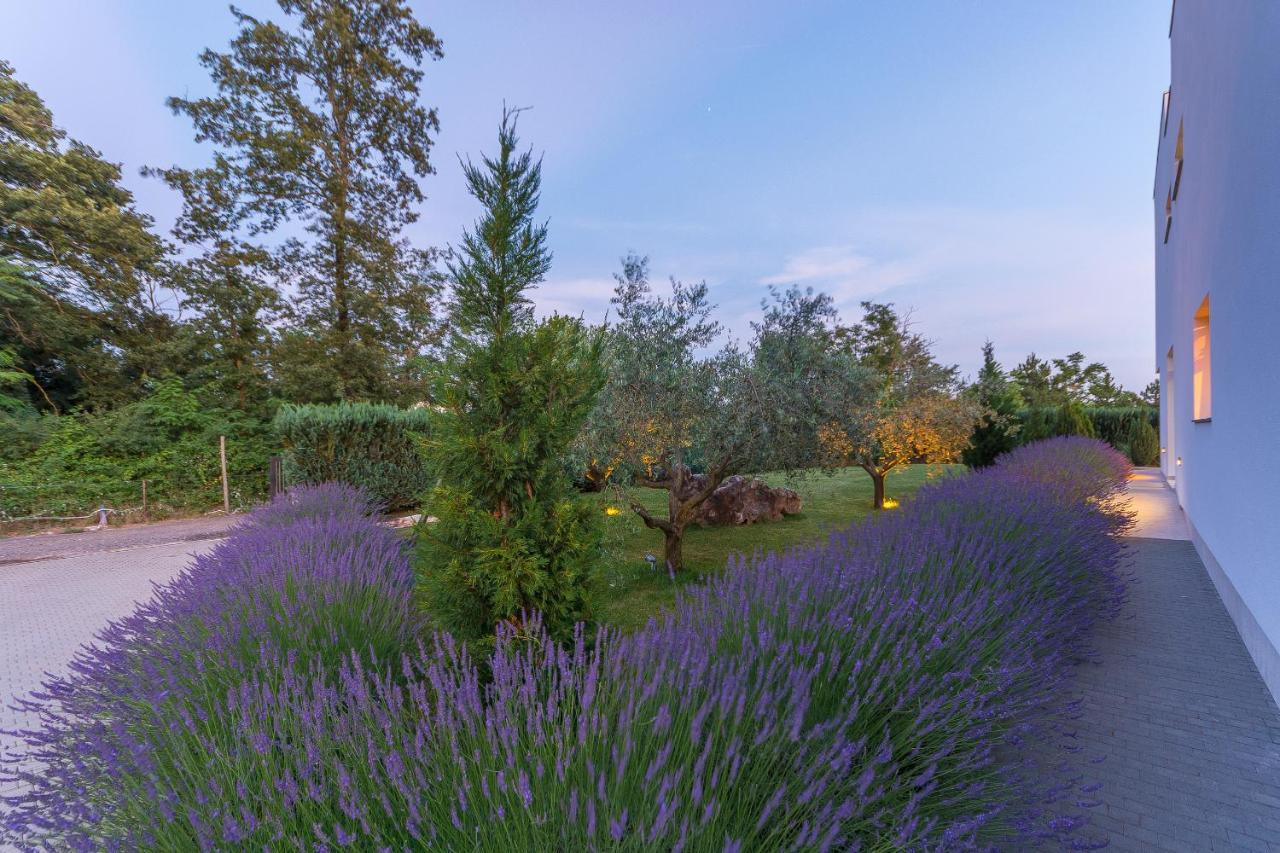 Villa Kate Istria Žminj Buitenkant foto